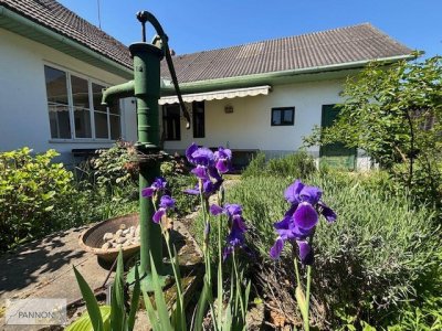 Charmantes Landhaus in bester Lage in Andau