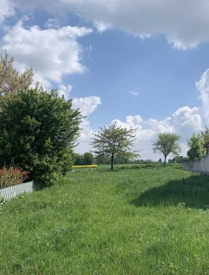 Grünstadt-Asselheim  - Neubau einer Doppelhaushälfte mit ca. 290 m Areal