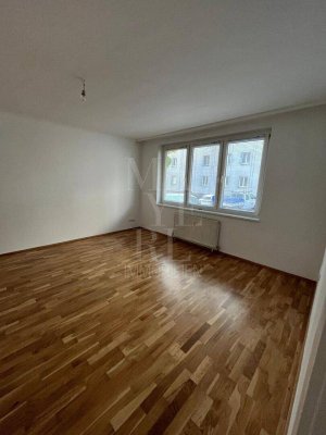 Renovierte Neubauwohnung