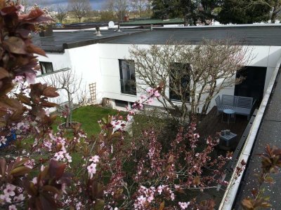 Ruhig gelegener, innenstadtnaher Bungalow mit sieben Zimmern und kleinem Garten in der Nordstadt