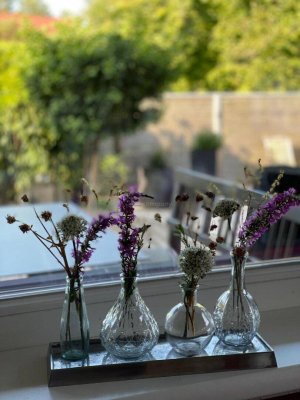 Traumhafter Bungalow in einmaliger Attersee-Lage. Attersee Ort: 155m² Luxus mit Garten und Terrasse!