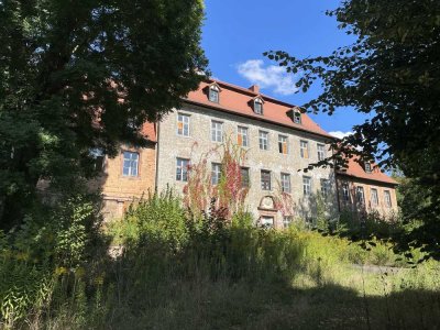 Denkmalobjekt für Bauträger - Wohnungsentwicklung im Schloss mit einzigartiger Parkanlage