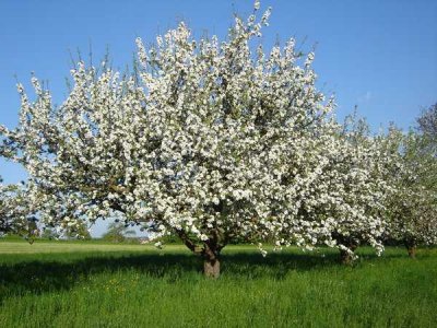 Dachgeschosswohnung mit Fernblick im Ostviertel