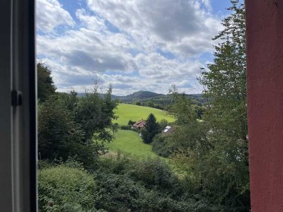 Von Privat! Sehr schöne renovierte 3-Zimmer-Wohnung mit Balkon und Einbauküche in Wald-Michelbach