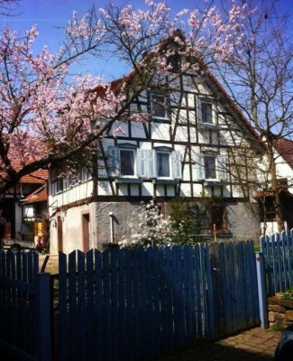 Kinder und Tier freundliches Einfamilienhaus in Dietenhausen
