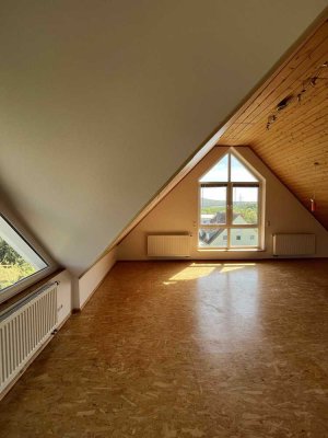 Helles 1-Zimmer-Appartement mit neuer Einbauküche und eigenem Stellplatz