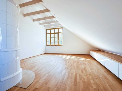 Das gesamte Dachgeschoss für sich!  Der Blick über alle Dächer bis zum Kloster Andechs!