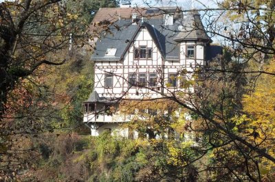Traumhafte Altbauwohnung im Kulturdenkmal mit Blick über Eppstein - 20 min bis Wiesbaden