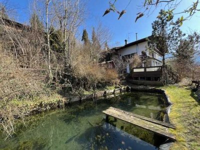 DHH, 2Whg.n, Bergsicht, Hanglage, 2 Carport, Teich, Altstädten