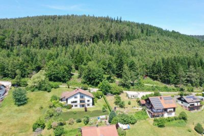 SCHWARZWALD PUR - EINE DER SCHÖNSTEN LAGEN