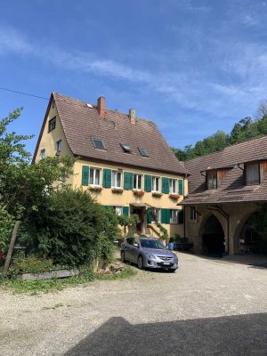 Grosse 3-Zimmerwohnung mit Garten