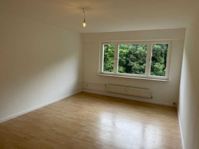 3-Zimmerwohnung in Dillweißenstein mit Balkon und Garage (optional)
