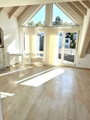 Schickes und helles 2–Zi-Dachstudio mit 2 Balkons und toller Aussicht!