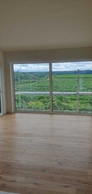 Neues exklusives Einfamilienhaus mit 6,5 Zimmern in Lauffen am Neckar