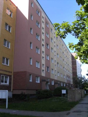 Schöne 2-Raumwohnung mit Blick ins Grüne