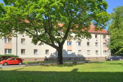 Sie suchen einen Altbau?