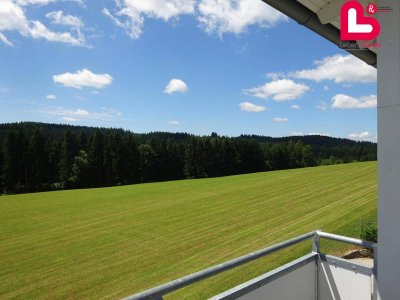 Helle 3-Zimmer Wohnung mit sonniger Loggia und herrlichem Ausblick in Traberg