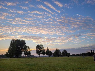 !!! Tolle Aussicht im 7. OG - Mein Zuhause mit Loggia - 1600/47202/95 - 2-Zi-Whg - Daimlerstr. 22 Ne