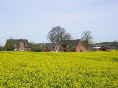 2 ZW auf dem Bauernhof in Honigsee / Kiel