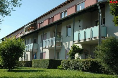 Möblierte Südseitige 3 Raumwhg. mit Balkon