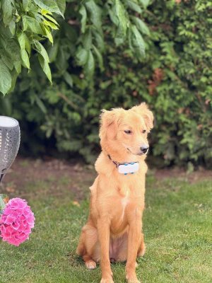 Alles auf einer Ebene und ohne TREPPEN.Weihnachten 2026 im eigenen HAUS