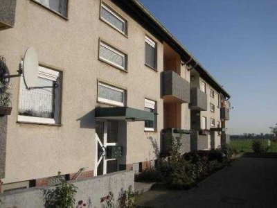 Hier lässt es sich aushalten: frisch renovierte 3-Zimmer-Wohnung