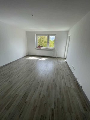 Renovierte 2-Zimmer-Wohnung in Wolfenbüttel Linden