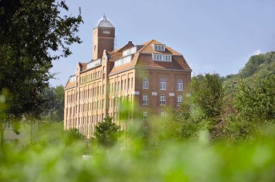 Exklusive 2-Zimmer-Wohnung in der Rommelmühle – Wohnen mit Geschichte und Komfort