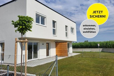 HAUNOLDSTEIN IX A - RH 8/1
