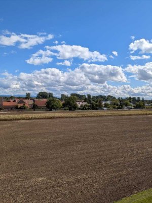 Erstbezug nach Sanierung: Charmante 4-Zimmer-Wohnung in Großniedesheim