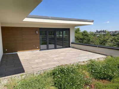 Penthouse mit großen Aussichtsterrassen im Salinenpark