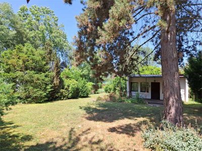 Attraktives Erholungsgrundstück mit kleinem Bungalow und Sauna, wenige Schritte zur Havel
