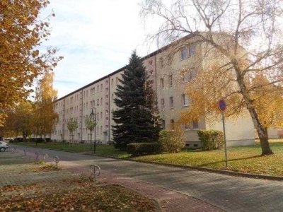 Willkommen im schönen Geiseltal