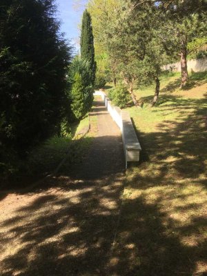 2 Zimmer Single-Wohnung