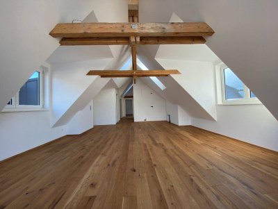 Neu errichtetes Penthouse der Extraklasse