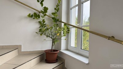 „Raum für Leben. Raum für Generationen. Raum für Beständigkeit.“ | ZELLMANN IMMOBILIEN