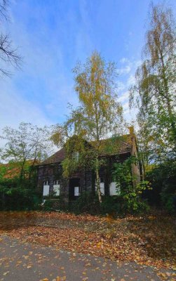 Moderne Einfamilien-Doppelhaushälfte mit Grundstück! Süd-Lage! Ausbaureserve im Dachgeschoss!