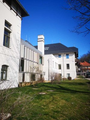 Ruhige 1,5 RW mit Balkon am Weißen Adler Dresden