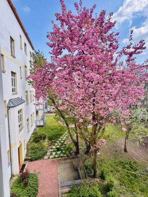 Zuhause in einem gut geschnittenen WG- Zimmer in Magdeburg