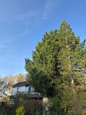 *NEU* In 1AAA-Lage von Darmstadt, Mehrfamilienhaus zur Eigennutzung oder Anlage!