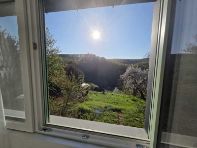 Erstbezug mit großem Südbalkon