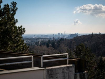 Maisonette- Penthouse mit Wienblick, in Pötzleinsdorfer Grünruhelage