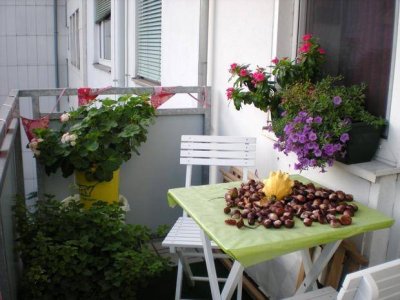 Ruhige 36 m2 Wohnung mit Balkon und Lift in zentraler Lage in 4020 Linz zu vermieten