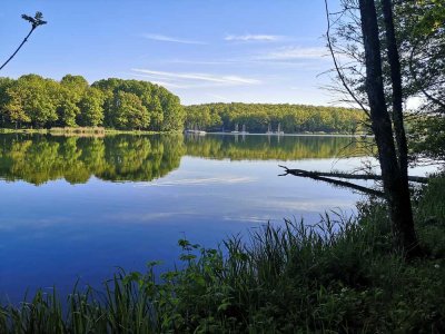 Charmantes Bungalow mit Einliegerwohnung am Ellertshäuser See