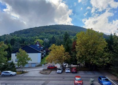 Sonniges, sehr gepflegtes, teilmöbliertes Balkon-Apartment mit Lift, provisionsfrei für Erwerber!