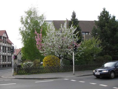 STILVOLLE 2-ZIMMER WOHNUNG MIT GEHOBENER INNENAUSSTATTUNG IN ABSOLUT RUHIGER LAGE