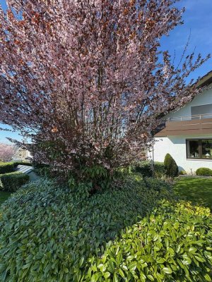 Sonnige 2-Zimmer-Wohnung in ruhiger Lage für alleinstehende Person/Rentnerin
