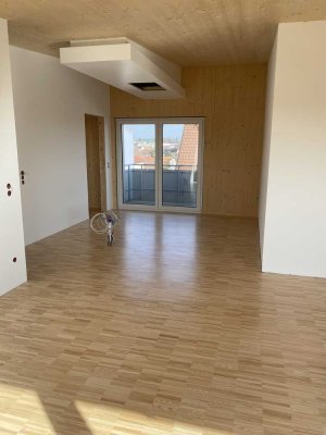 Geschmackvolle 4-Raum-Wohnung mit hochwertiger Ausstattung in Böhmenkirch