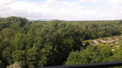 *Provisionsfrei von Privat*  110qm Eigentumswohnung in Waldrandlage zu verkaufen Prei ist VHBs