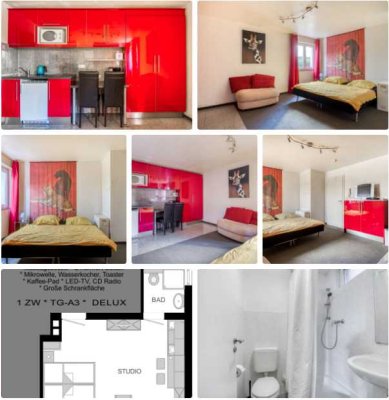 Kompakt, möbliert, voll ausgestattet; 1 Zi-Apartment, Küchenzeile, Du/WC, gehobener Standard